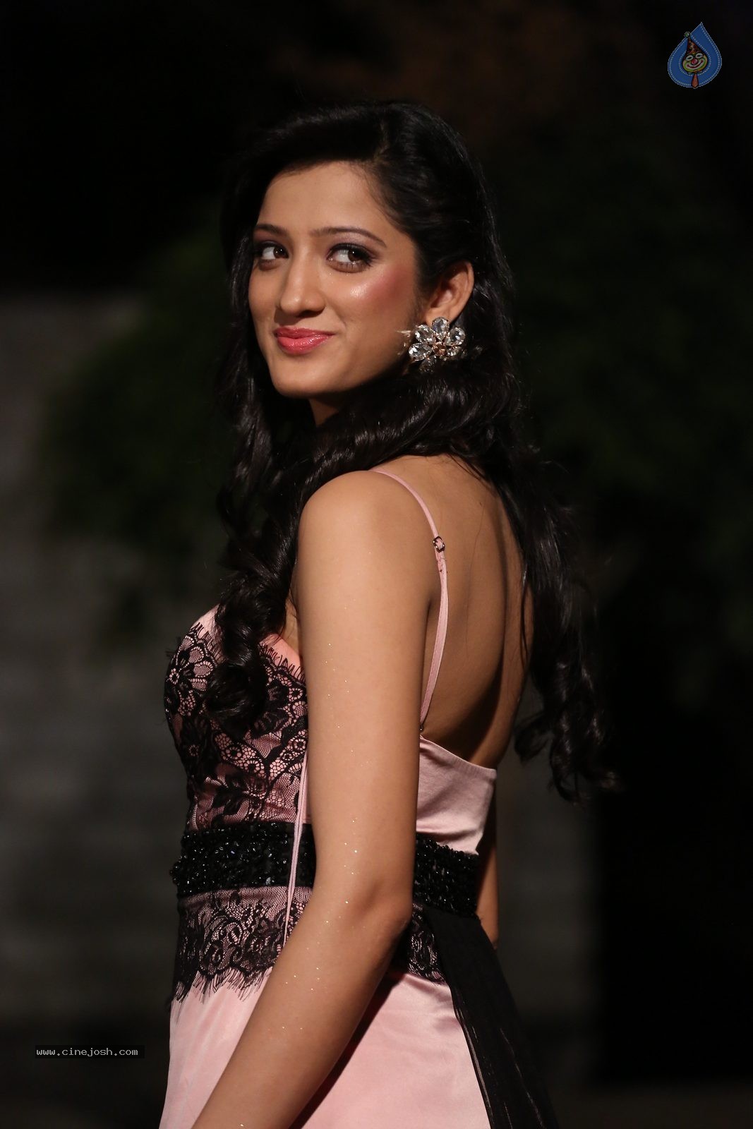 Richa Panai New Photos - 17 / 52 photos