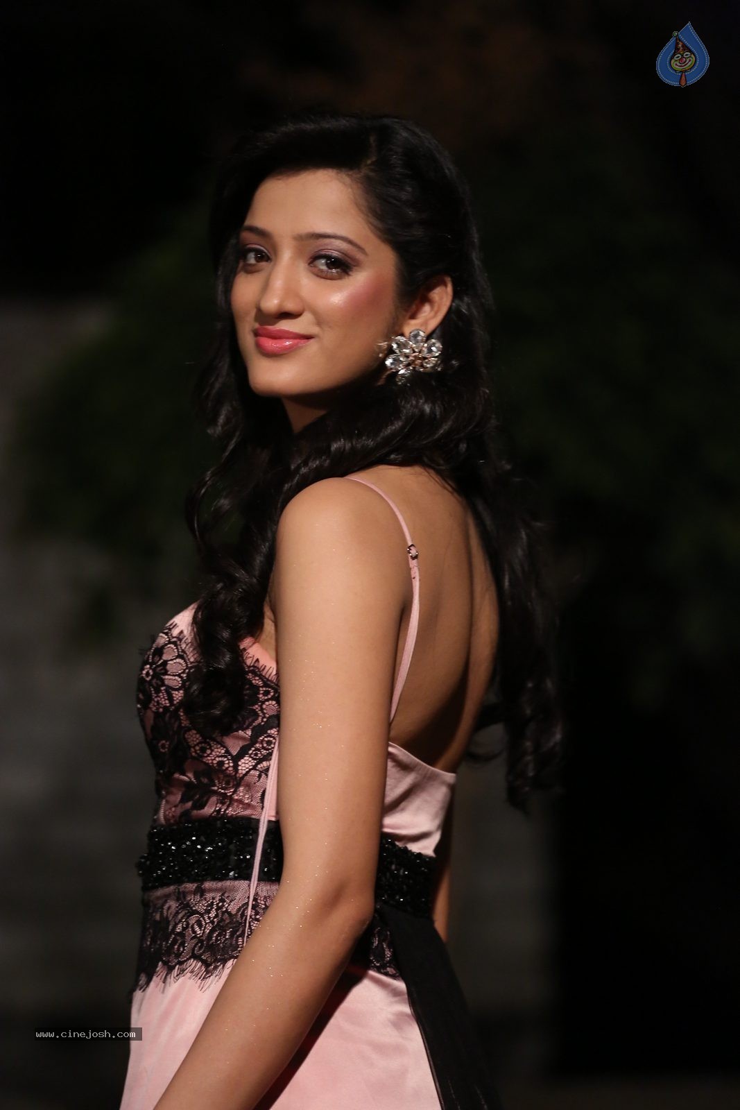 Richa Panai New Photos - 49 / 52 photos
