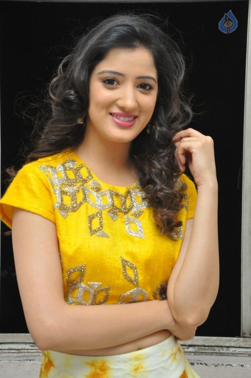 Richa Panai Photos - 11 / 38 photos