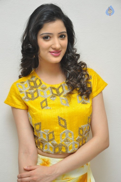 Richa Panai Photos - 16 / 38 photos