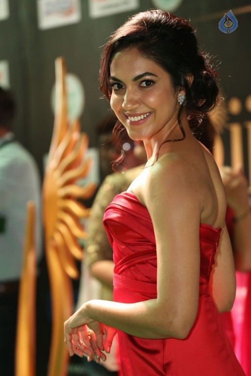 Ritu Varma at IIFA 2017 - 14 / 39 photos