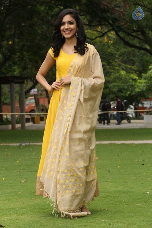 Ritu Varma New Gallery - 18 / 42 photos