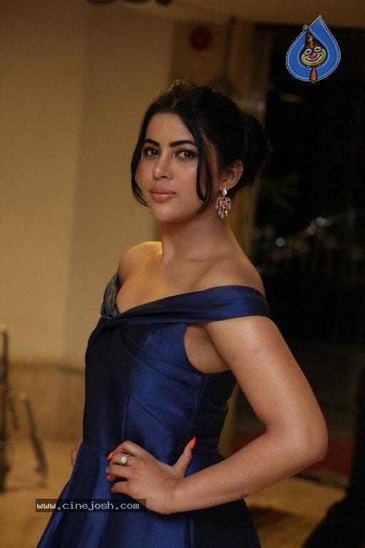 Sahar Afsha Latest Pics - 4 / 21 photos