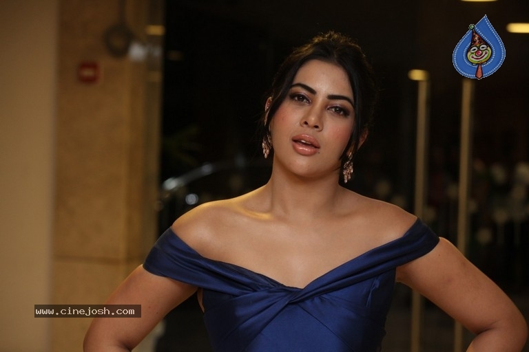Sahar Afsha Latest Pics - 14 / 21 photos