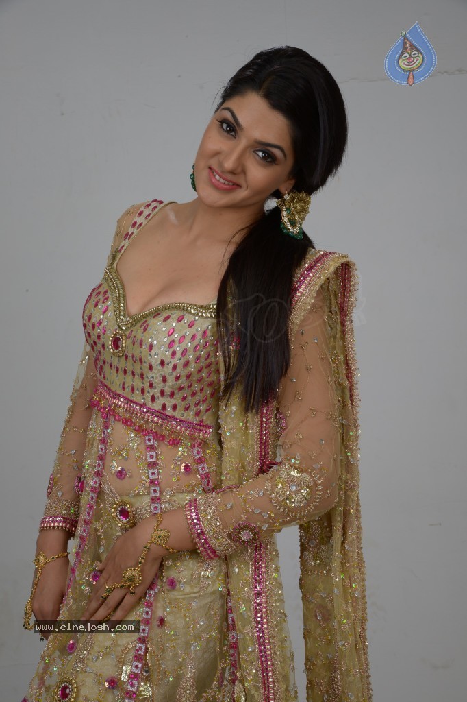 Sakshi Choudary Hot Gallery - 8 / 127 photos