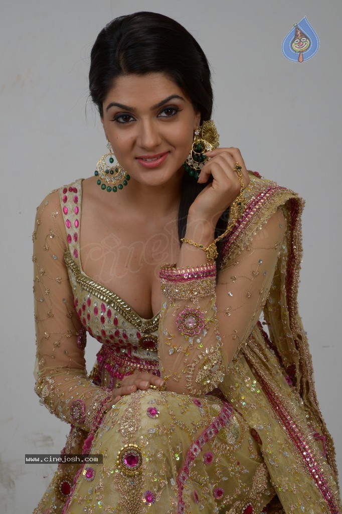 Sakshi Choudary Hot Gallery - 31 / 127 photos