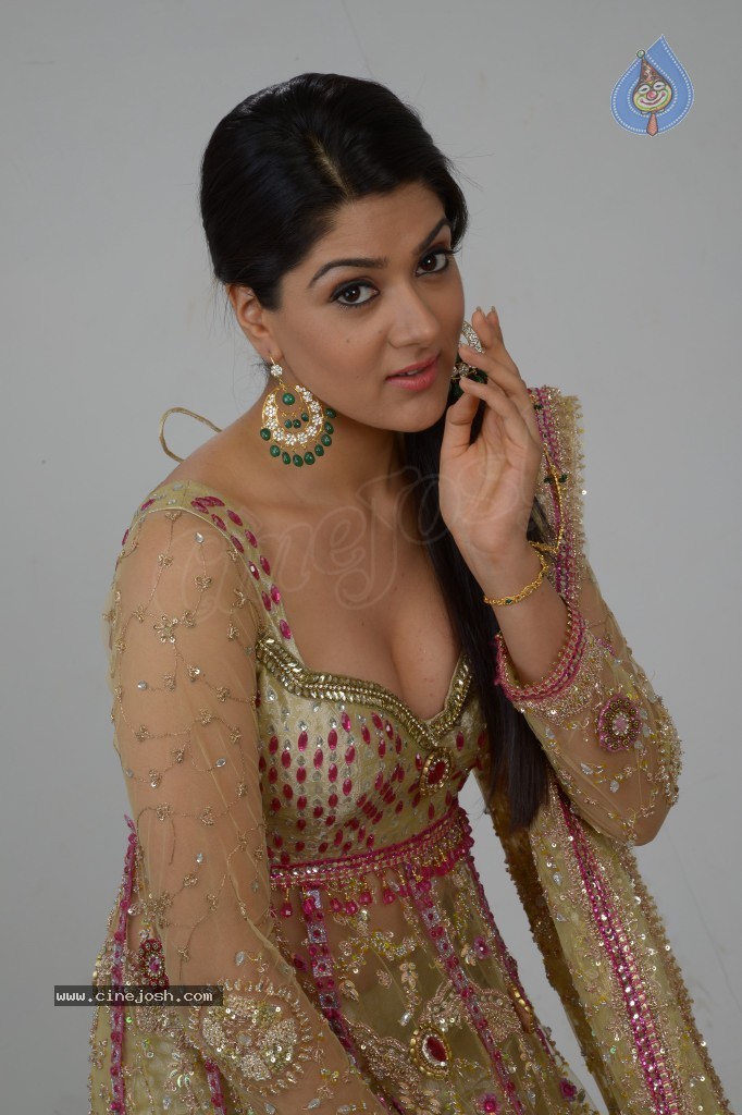 Sakshi Choudary Hot Gallery - 91 / 127 photos