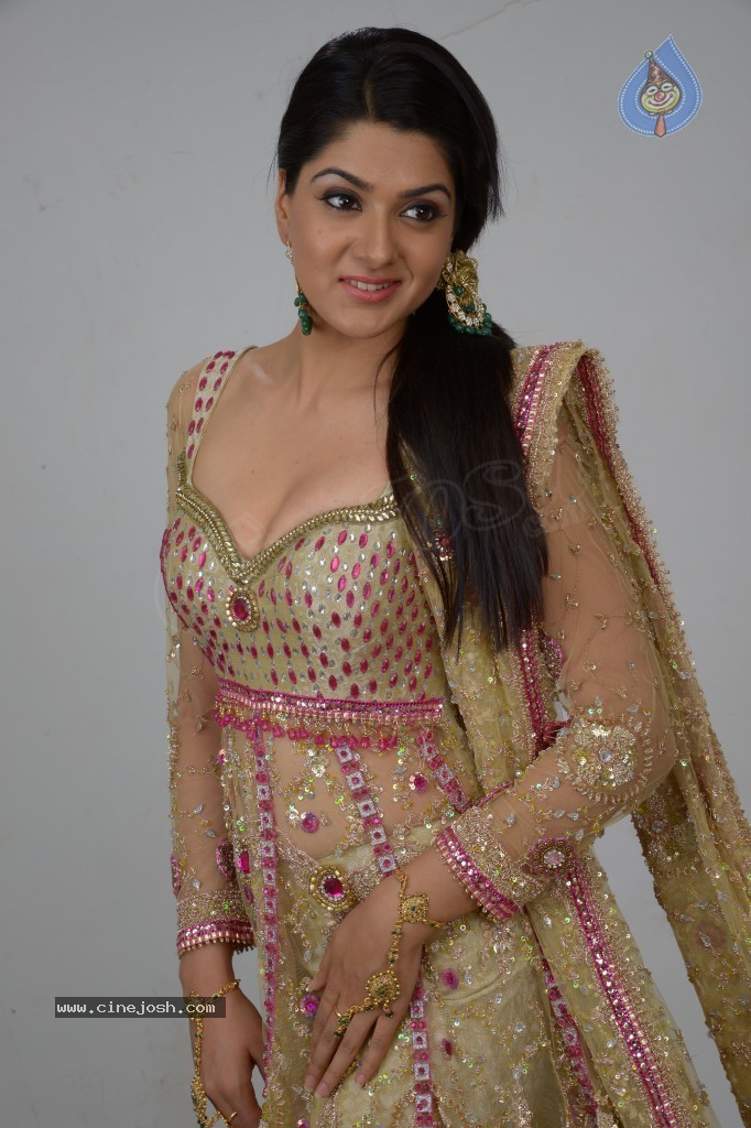 Sakshi Choudary Hot Gallery - 98 / 127 photos