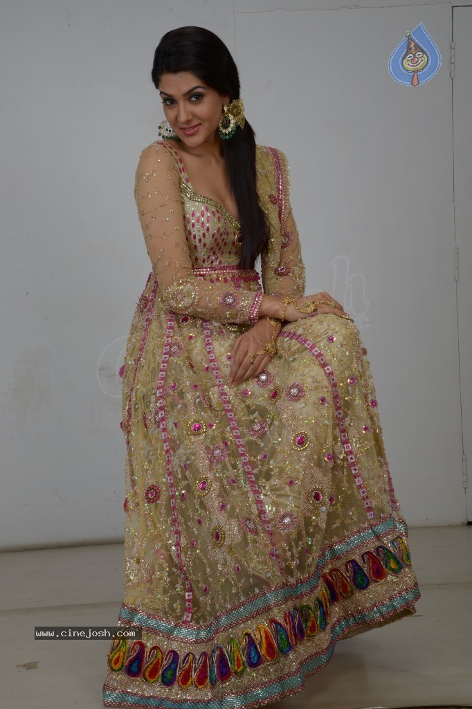 Sakshi Choudary Hot Gallery - 99 / 127 photos