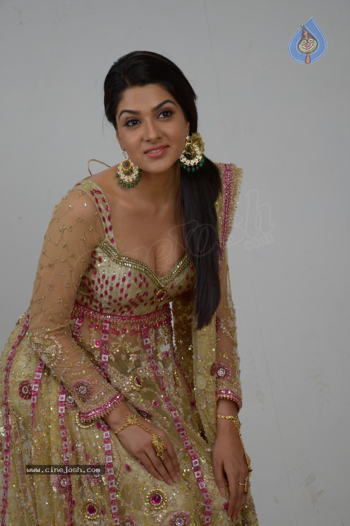 Sakshi Choudary Hot Gallery - 111 / 127 photos