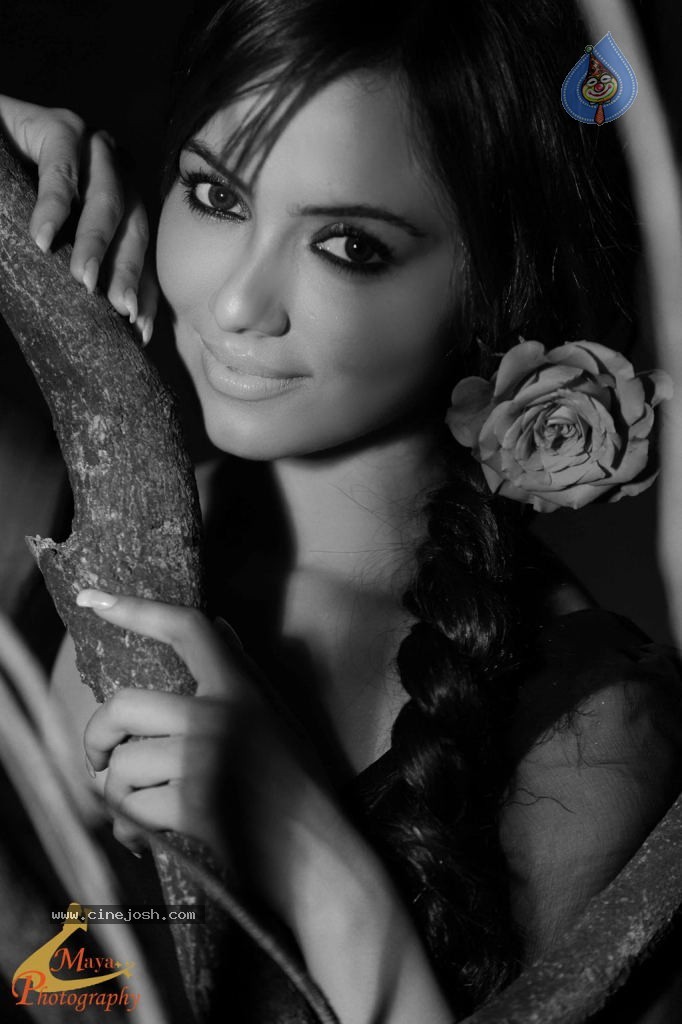 Sana Khan Hot Stills - 4 / 36 photos