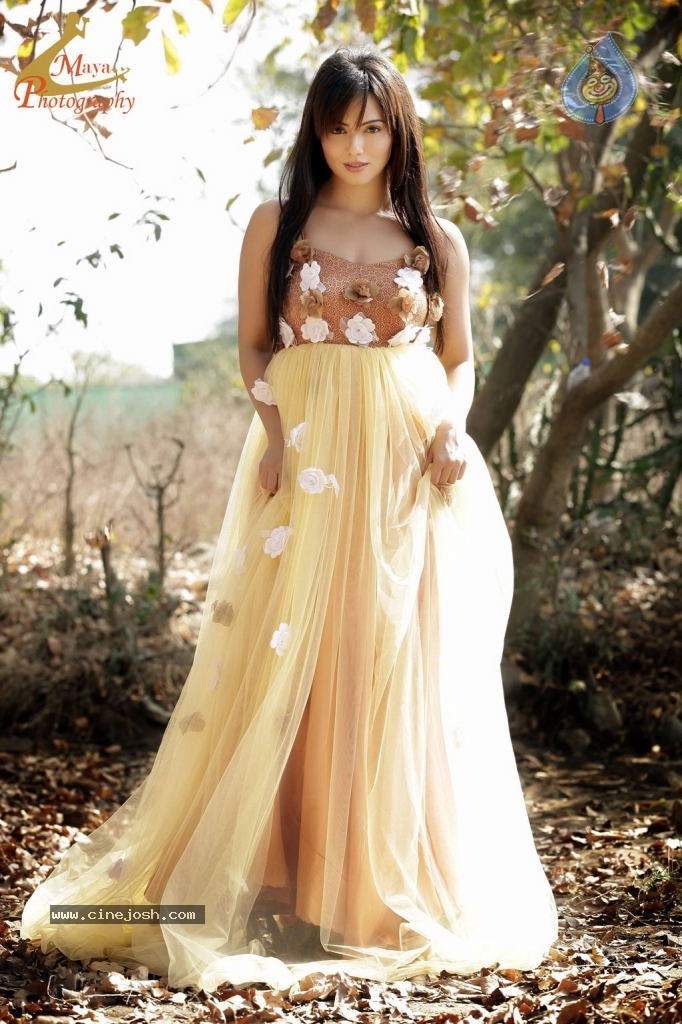 Sana Khan Hot Stills - 5 / 36 photos