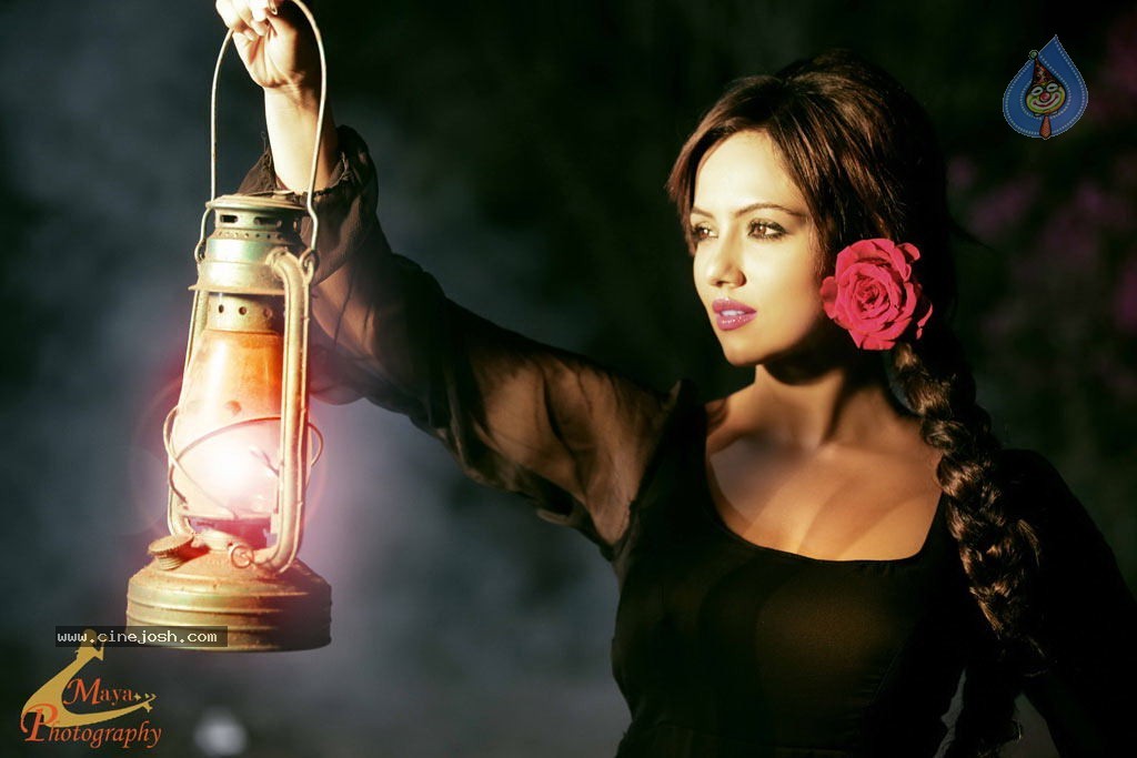 Sana Khan Hot Stills - 33 / 36 photos