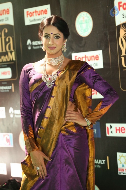 Sanjjanaa at IIFA 2017 - 6 / 41 photos