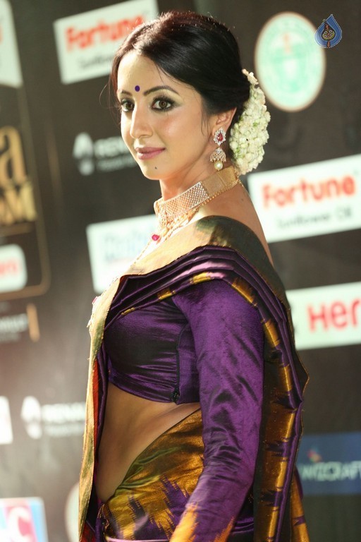Sanjjanaa at IIFA 2017 - 18 / 41 photos