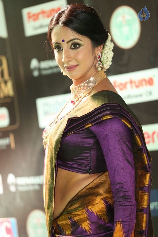 Sanjjanaa at IIFA 2017 - 37 / 41 photos