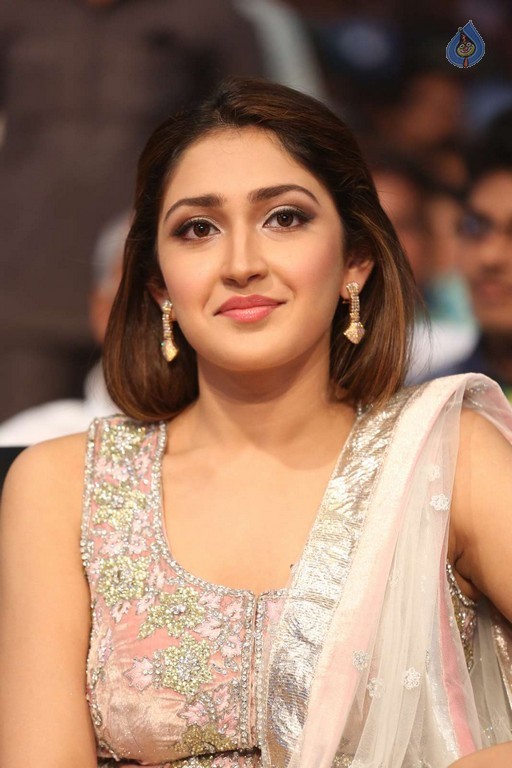 Sayesha at Akhil Audio Launch - 19 / 42 photos