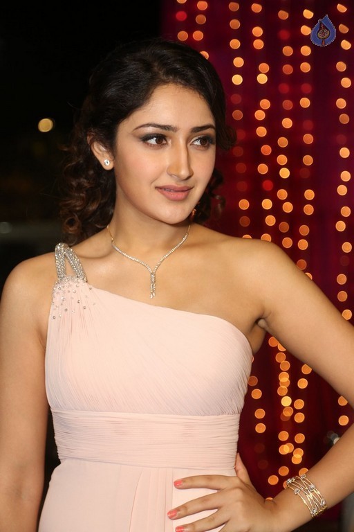 Sayesha at Zee Telugu Apsara Awards - 25 / 26 photos