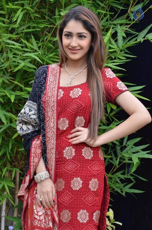 Sayyeshaa New Photos - 8 / 42 photos