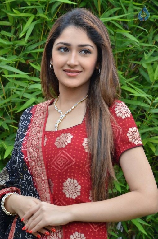 Sayyeshaa New Photos - 18 / 42 photos