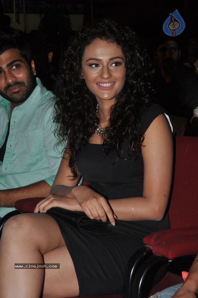Seerat Kapoor Stills - 43 / 91 photos
