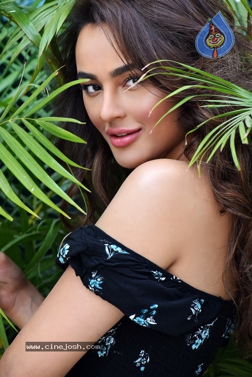 Seerat Kapoor Stills - 4 / 13 photos