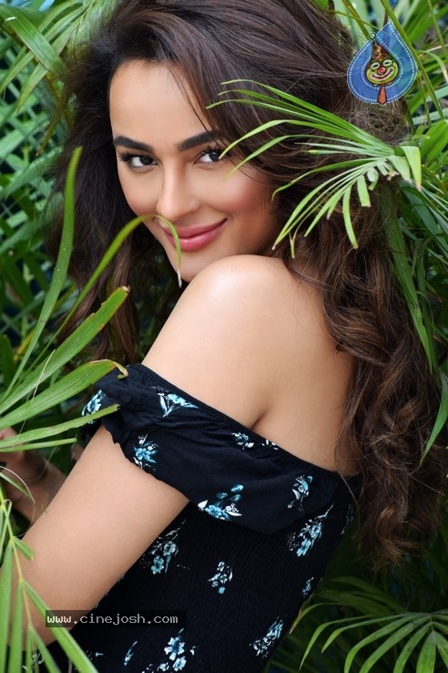 Seerat Kapoor Stills - 11 / 13 photos