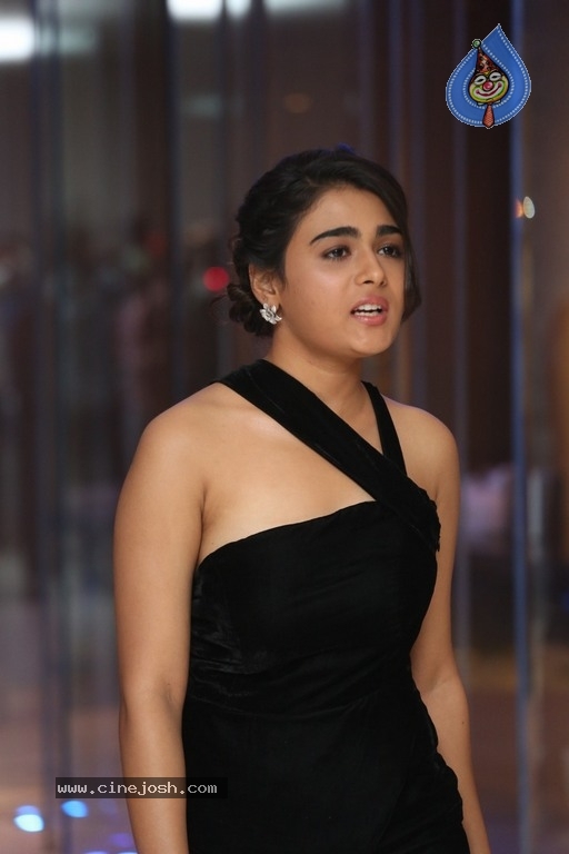 Shalini Pandey Photos - 16 / 21 photos