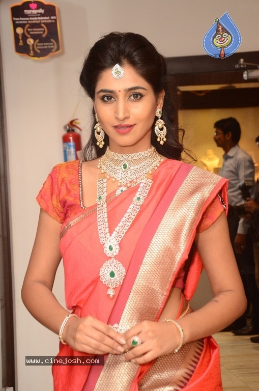 Shamili Sounderajan Images - 15 / 30 photos