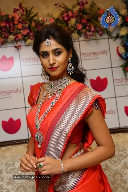 Shamili Sounderajan Images - 20 / 30 photos