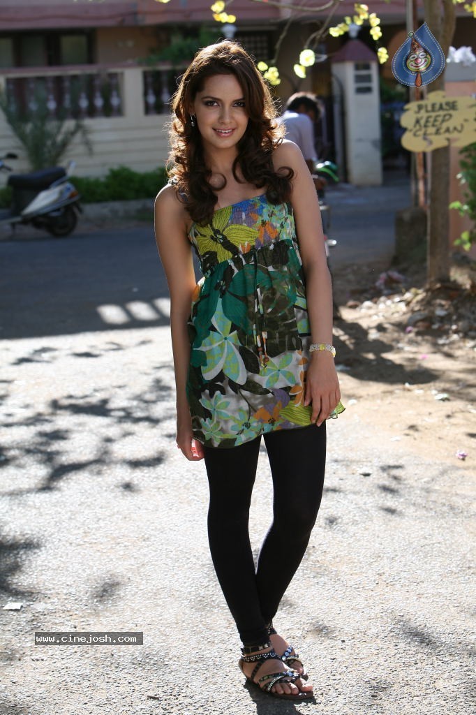 Shazahn Padamsee New Stills - 31 / 39 photos