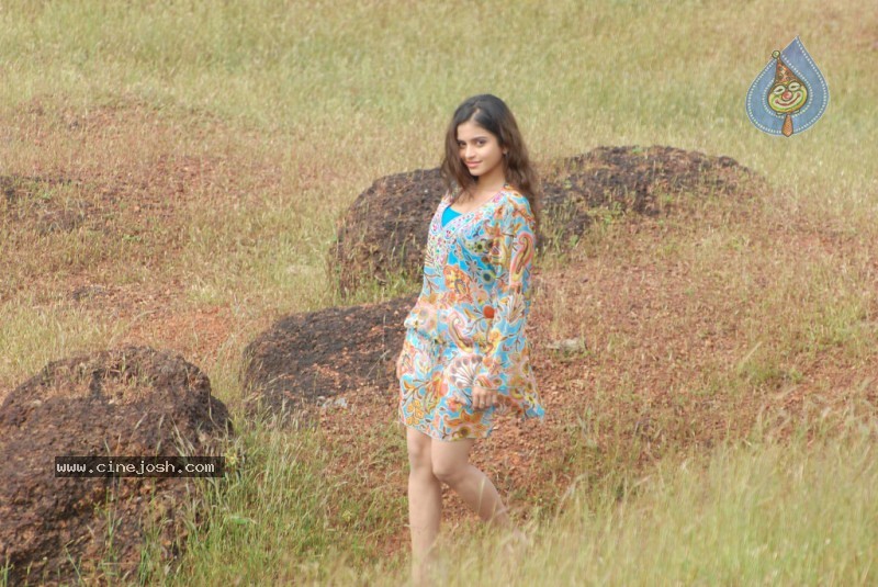 Sheena Shahabadi Stills  - 55 / 85 photos