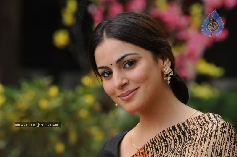 Shraddha Arya Stills - Kothimooka - 7 / 13 photos