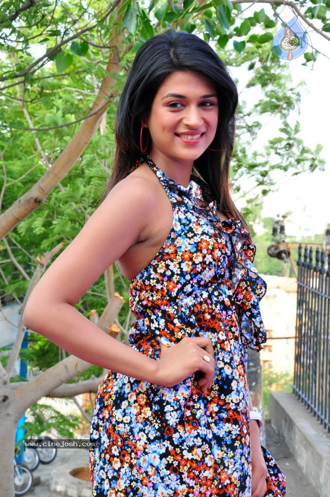 Shraddha Das Hot Photos - 56 / 64 photos