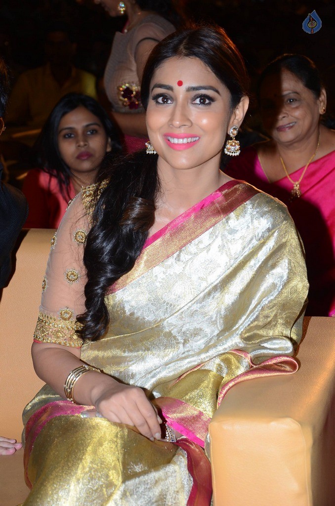 Shriya at Gautamiputra Satakarni Audio Launch - 4 / 36 photos