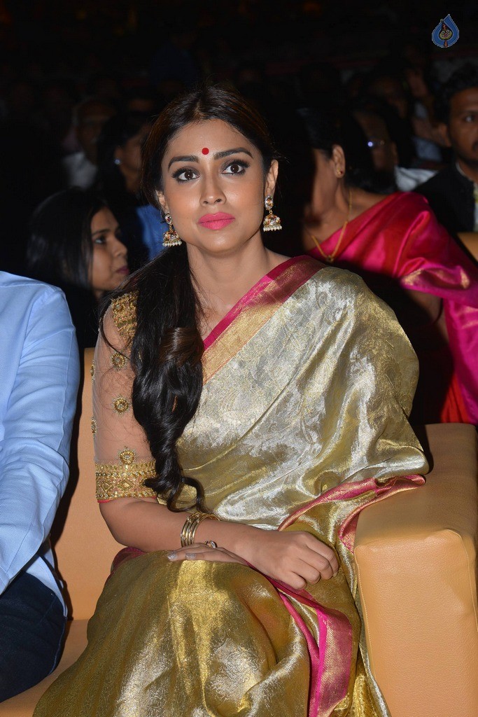 Shriya at Gautamiputra Satakarni Audio Launch - 29 / 36 photos