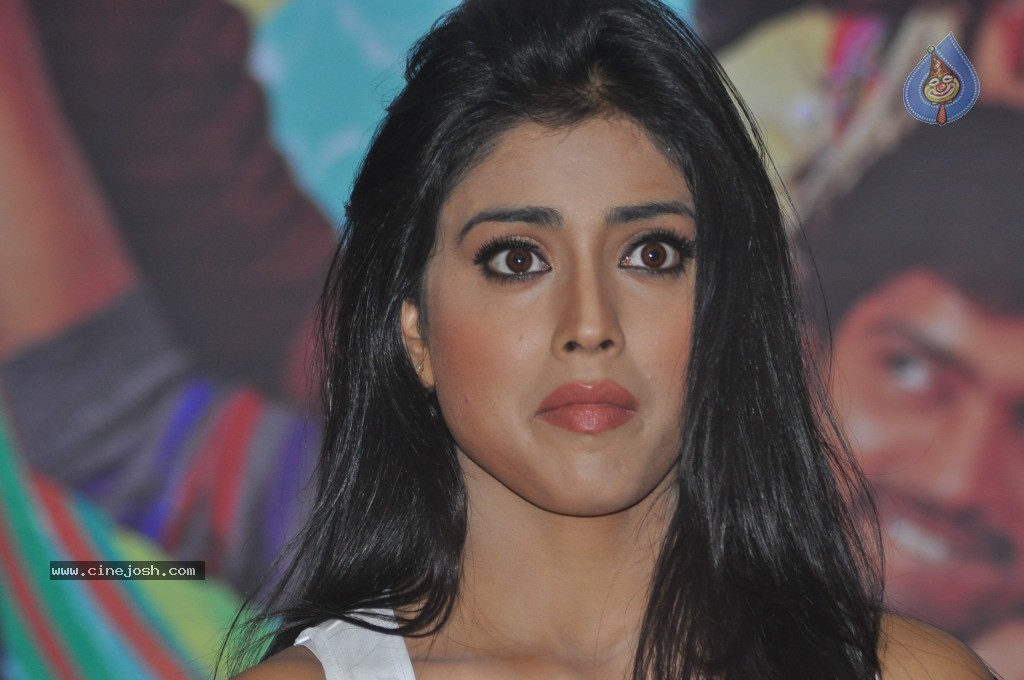 Shriya at Nuvva Nena Movie Press Meet - 1 / 71 photos