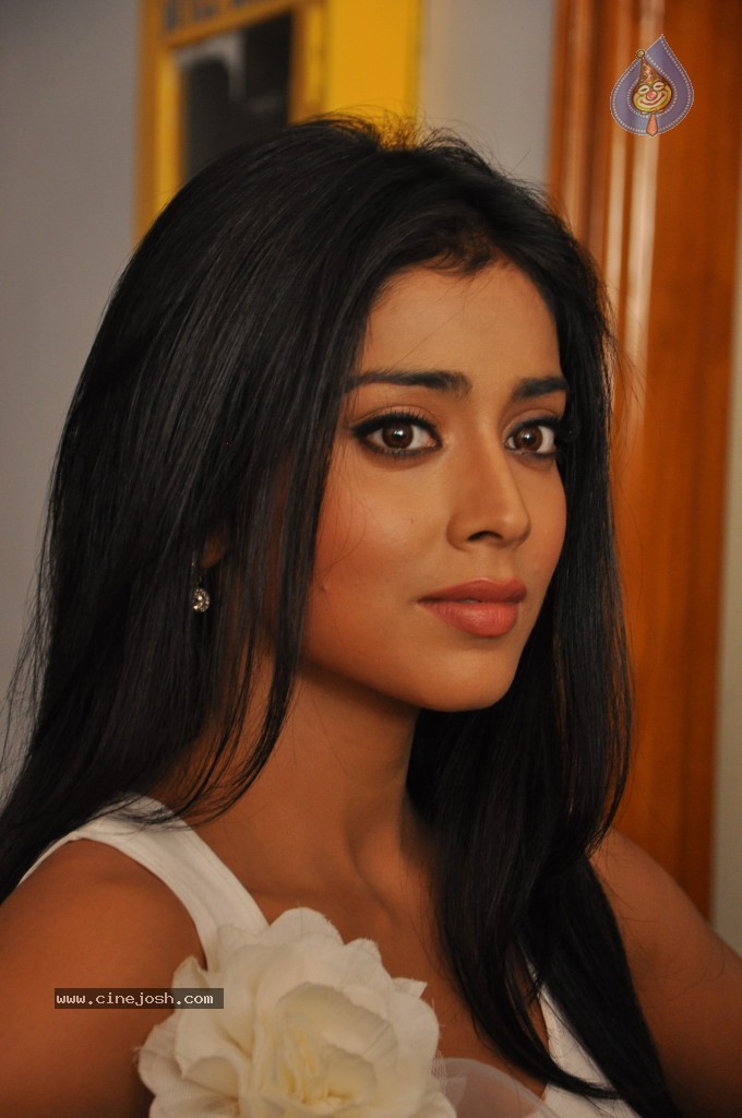 Shriya at Nuvva Nena Movie Press Meet - 31 / 71 photos