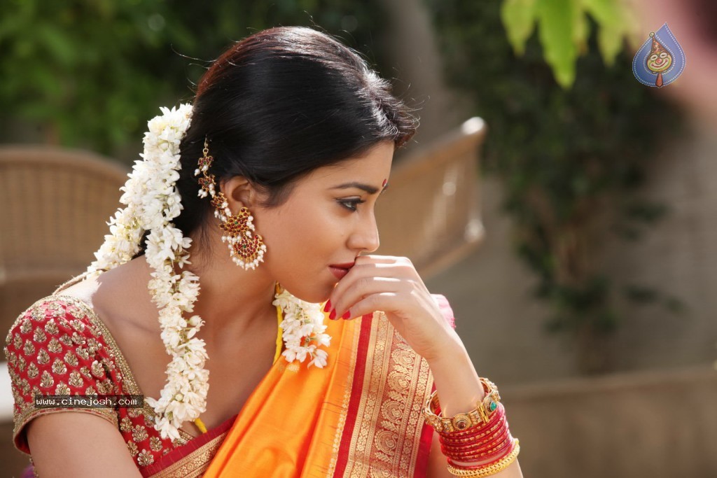 Shriya Hot Gallery - 16 / 23 photos