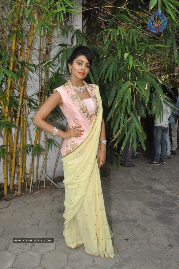 Shriya Latest Stills - 15 / 58 photos