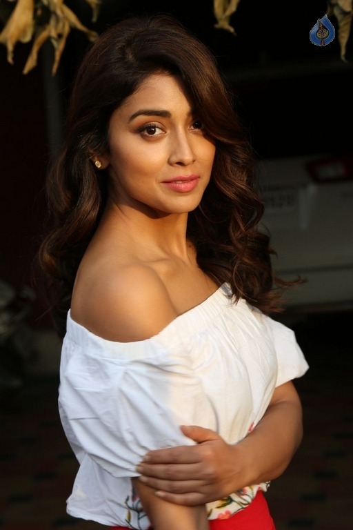 Shriya Saran Interview Photos - 9 / 15 photos