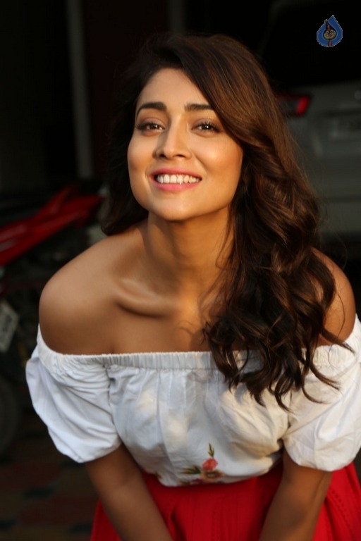 Shriya Saran Interview Photos - 14 / 15 photos