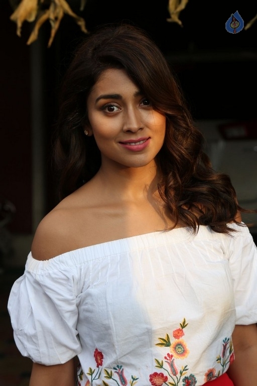 Shriya Saran Interview Photos - 15 / 15 photos