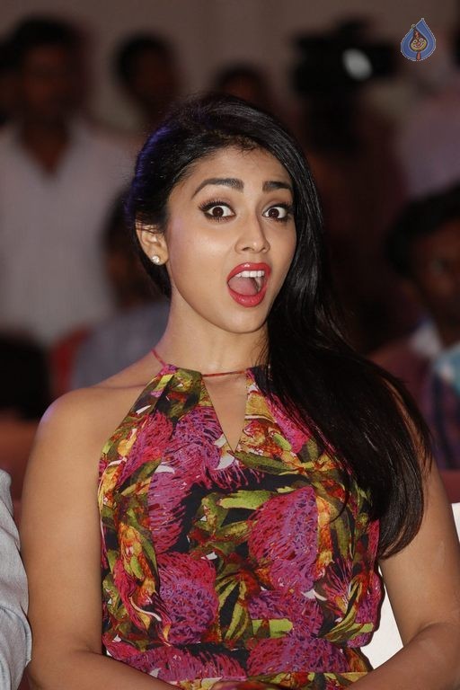 Shriya Saran New Photos - 14 / 22 photos