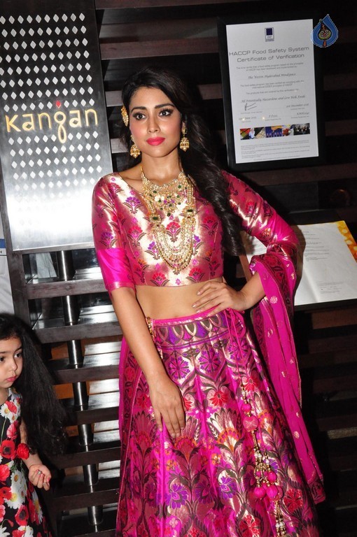Shriya Saran New Pics - 7 / 42 photos