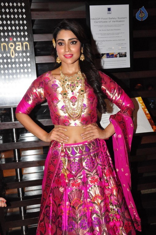 Shriya Saran New Pics - 11 / 42 photos