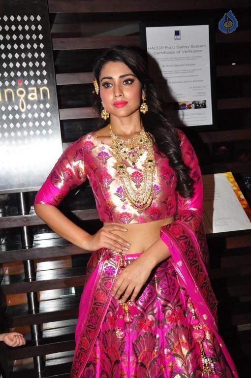 Shriya Saran New Pics - 15 / 42 photos