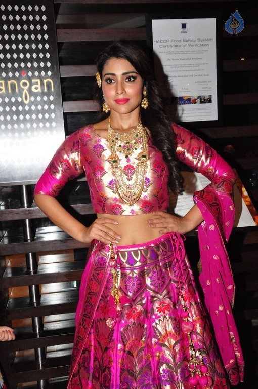 Shriya Saran New Pics - 19 / 42 photos