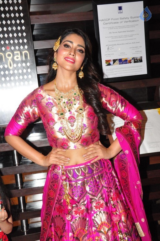 Shriya Saran New Pics - 27 / 42 photos