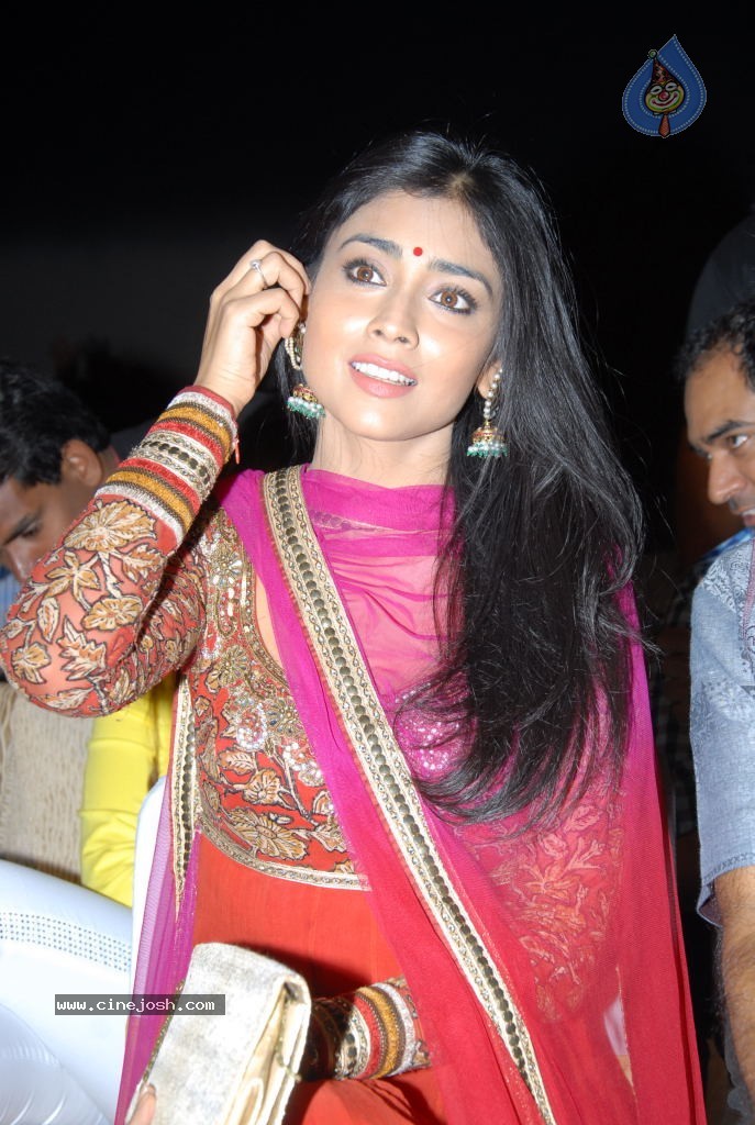 Shriya Saran New Stills - 13 / 42 photos